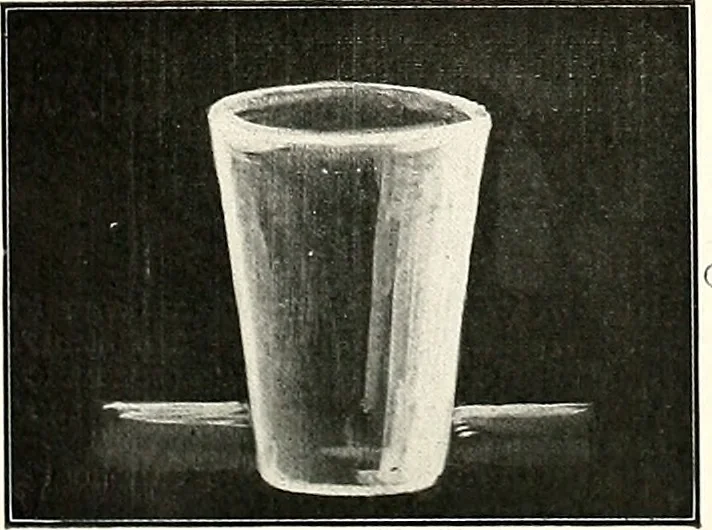 An illustration from The Kindergarten-primary magazine, 1907, leaf 107