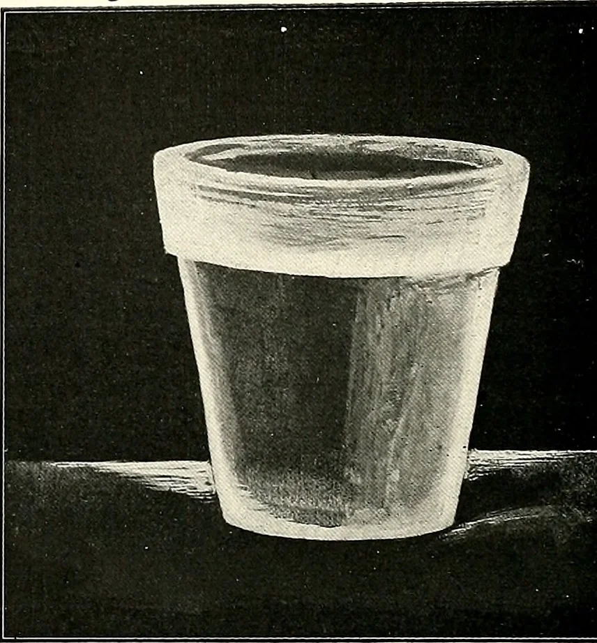 An illustration from The Kindergarten-primary magazine, 1907, leaf 107