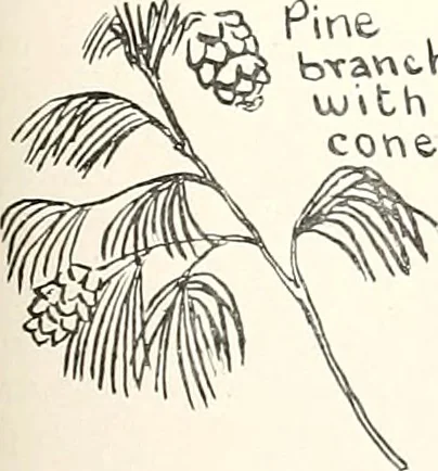 An illustration from The Kindergarten-primary magazine, 1907, leaf 150