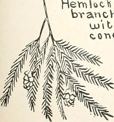 An illustration from The Kindergarten-primary magazine, 1907, leaf 150