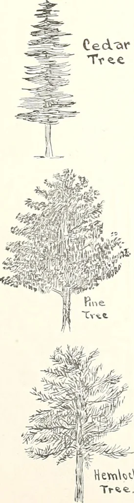 An illustration from The Kindergarten-primary magazine, 1907, leaf 150