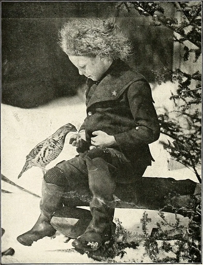 An illustration from The Kindergarten-primary magazine, 1907, leaf 169