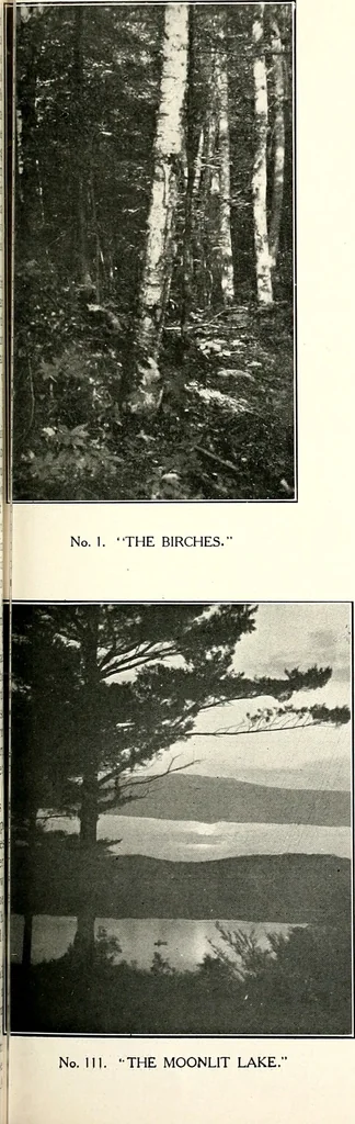 An illustration from The Kindergarten-primary magazine, 1907, leaf 22
