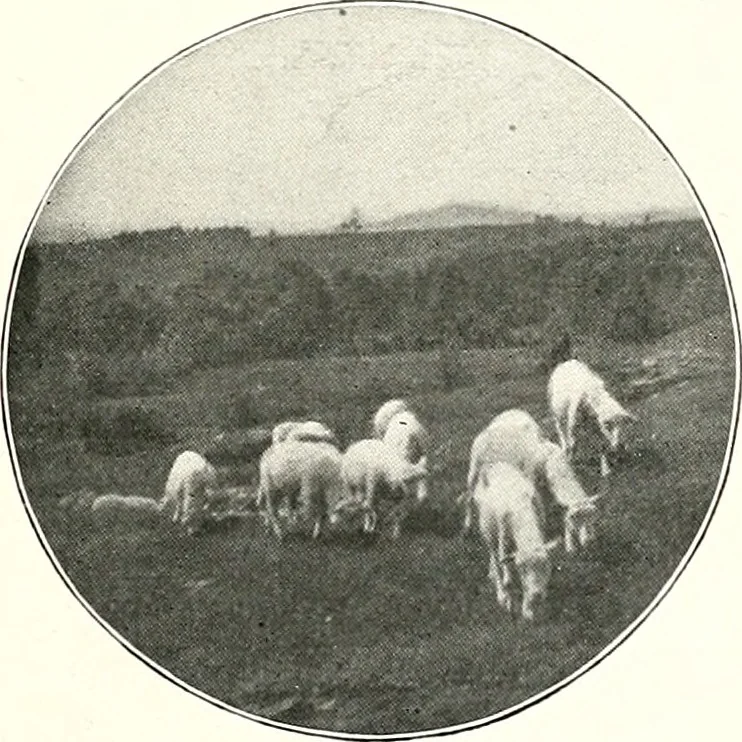 An illustration from The Kindergarten-primary magazine, 1907, leaf 22