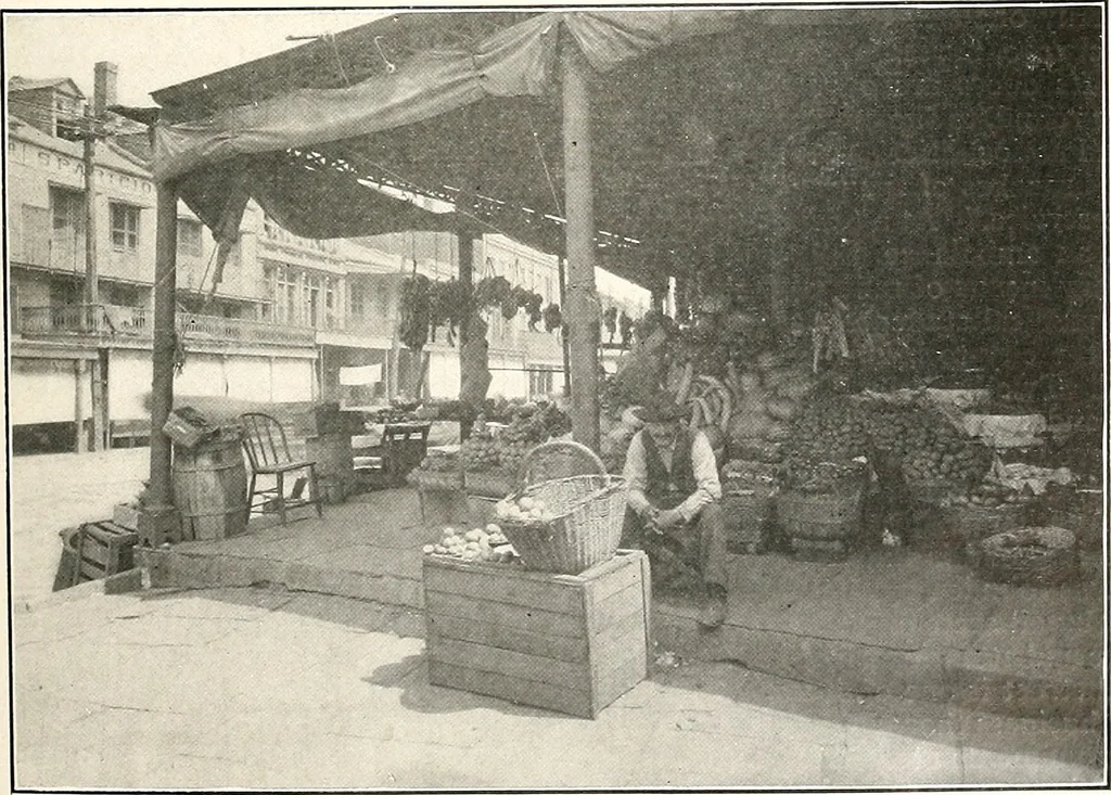 An illustration from The Kindergarten-primary magazine, 1907, leaf 230
