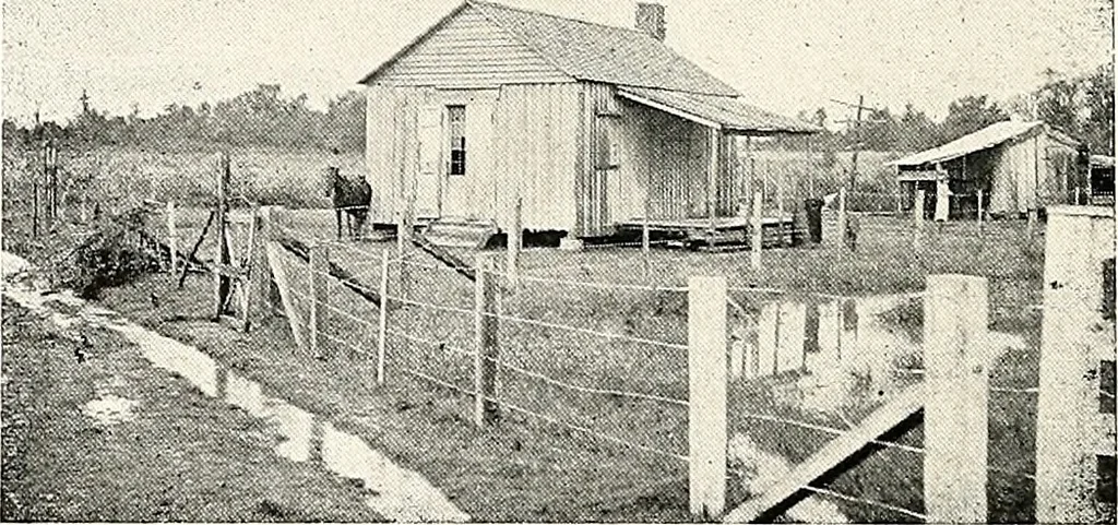 An illustration from The Kindergarten-primary magazine, 1907, leaf 259