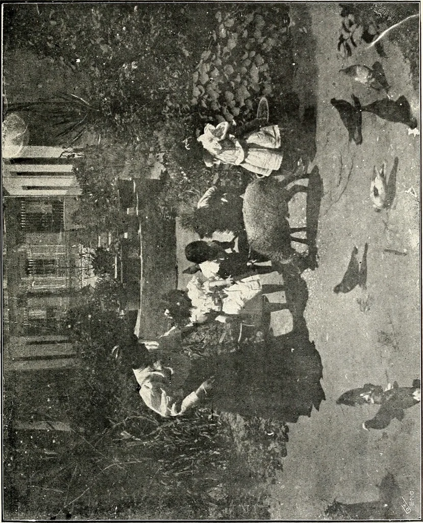 An illustration from The Kindergarten-primary magazine, 1907, leaf 316