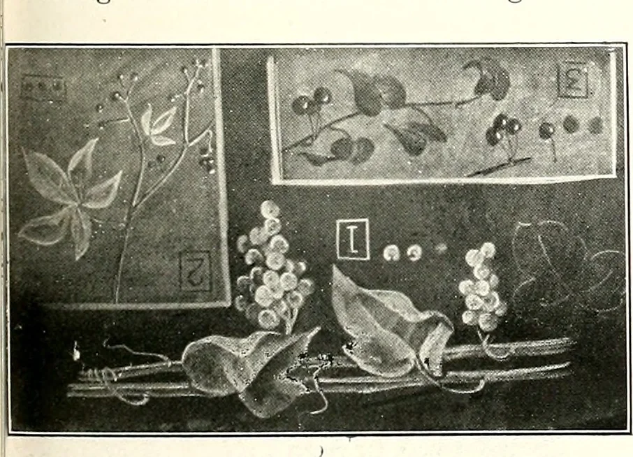 An illustration from The Kindergarten-primary magazine, 1907, leaf 62