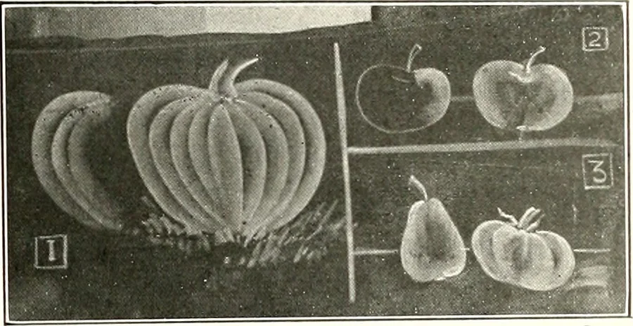 An illustration from The Kindergarten-primary magazine, 1907, leaf 62