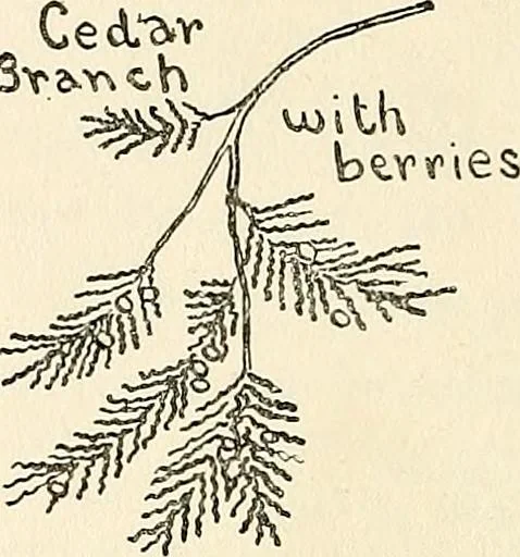 An illustration from The Kindergarten-primary magazine, 1907, leaf 113