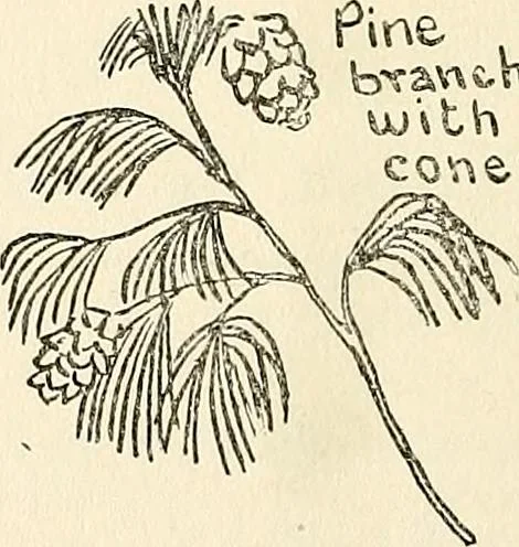 An illustration from The Kindergarten-primary magazine, 1907, leaf 113