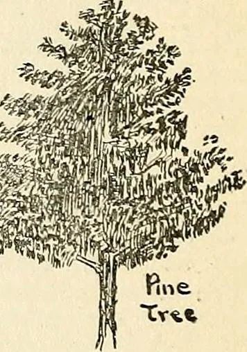 An illustration from The Kindergarten-primary magazine, 1907, leaf 113