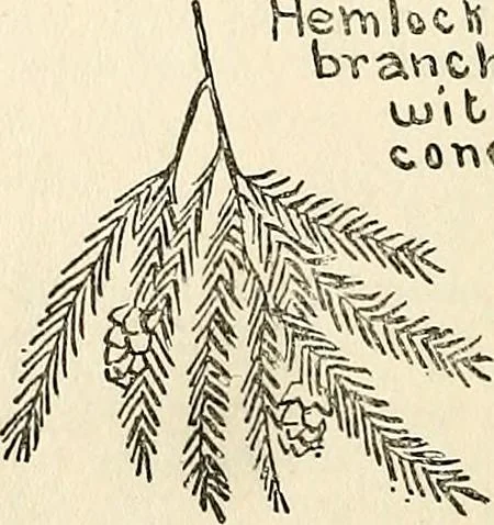 An illustration from The Kindergarten-primary magazine, 1907, leaf 113