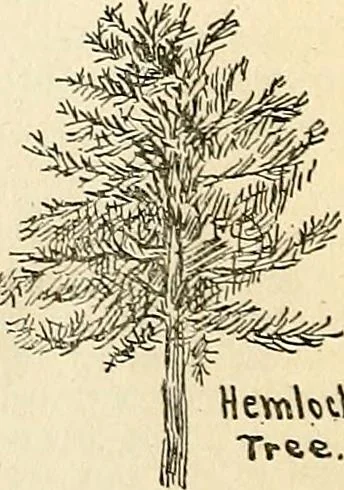An illustration from The Kindergarten-primary magazine, 1907, leaf 113
