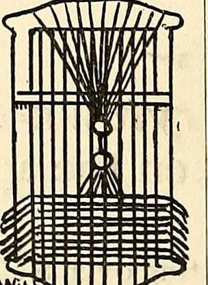 An illustration from The Kindergarten-primary magazine, 1907, leaf 179