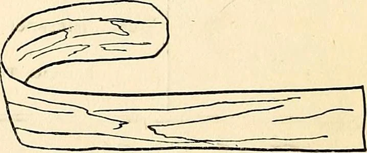 An illustration from The Kindergarten-primary magazine, 1907, leaf 179