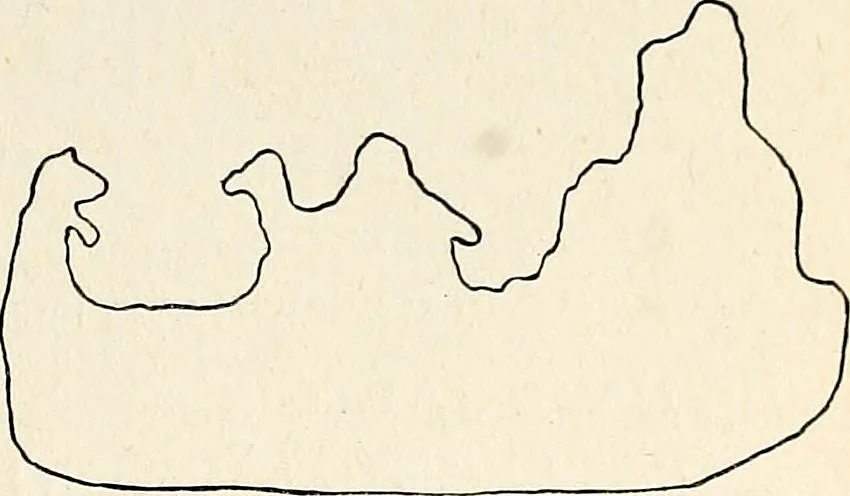 An illustration from The Kindergarten-primary magazine, 1907, leaf 248