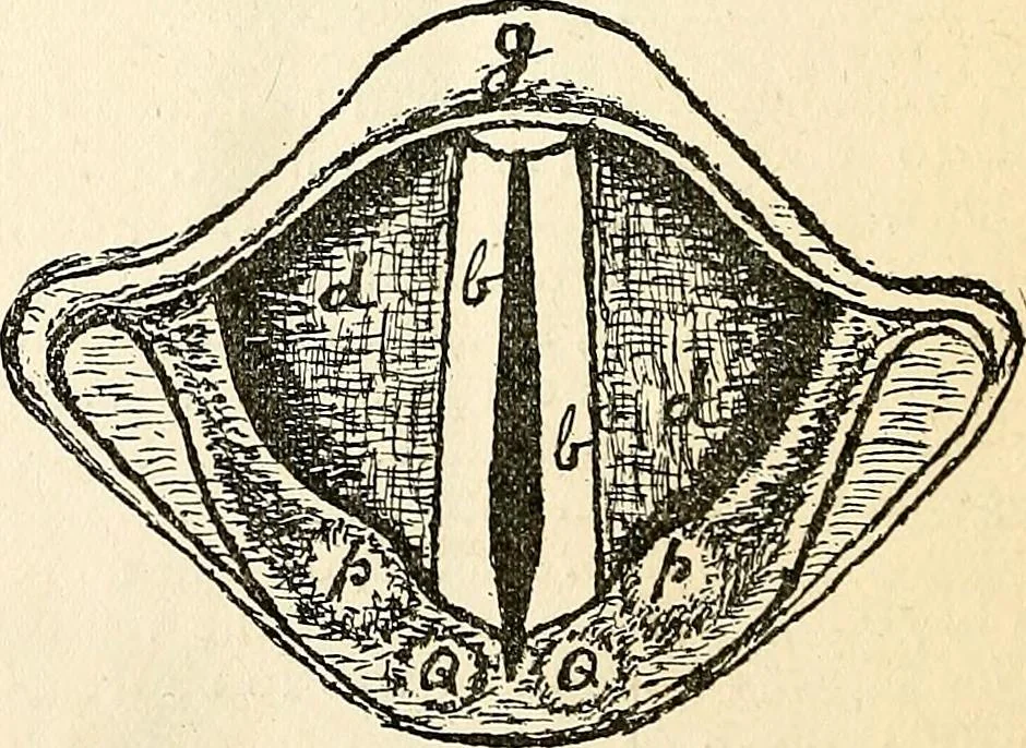 An illustration from The Kindergarten-primary magazine, 1907, leaf 287