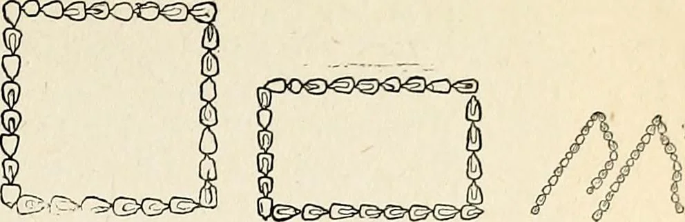 An illustration from The Kindergarten-primary magazine, 1907, leaf 298