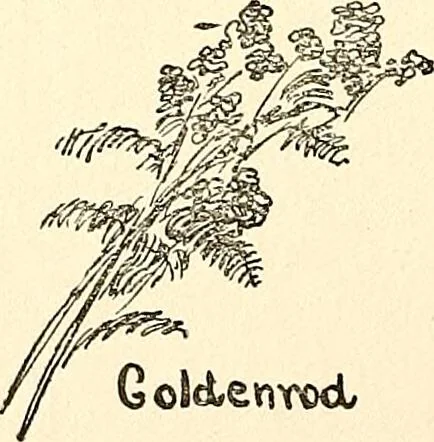 An illustration from The Kindergarten-primary magazine, 1907, leaf 35