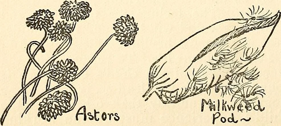 An illustration from The Kindergarten-primary magazine, 1907, leaf 35