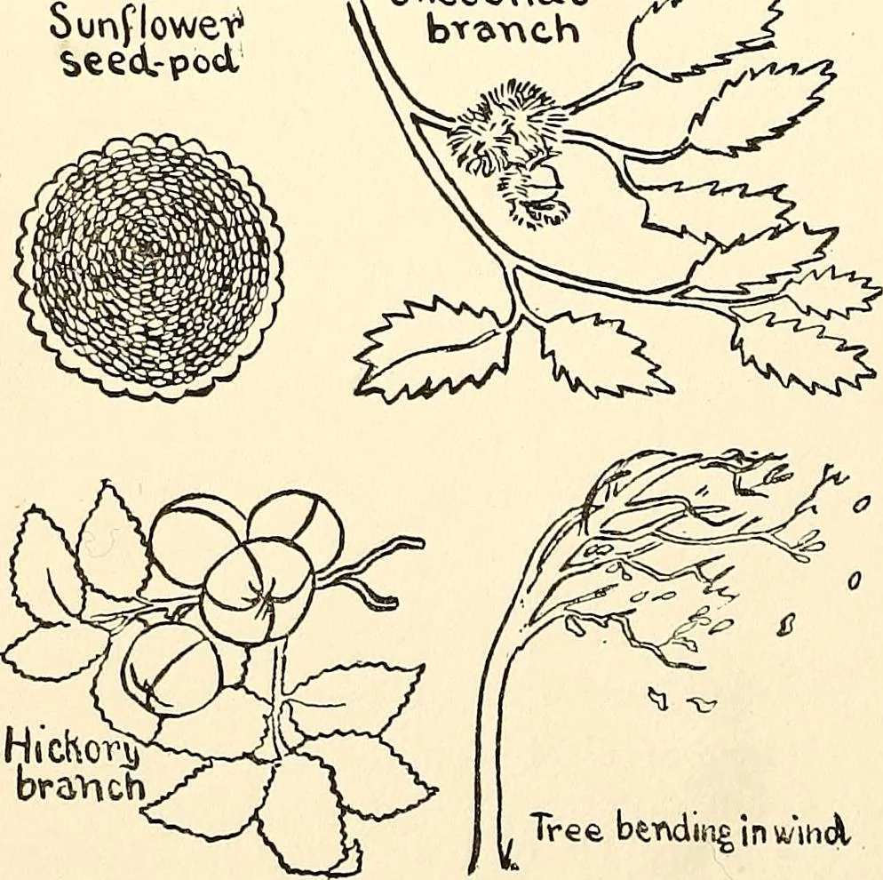 An illustration from The Kindergarten-primary magazine, 1907, leaf 37