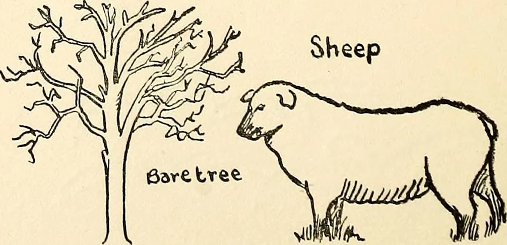 An illustration from The Kindergarten-primary magazine, 1907, leaf 37