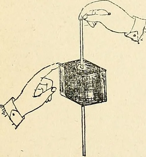 An illustration from The Kindergarten-primary magazine, 1907, leaf 388