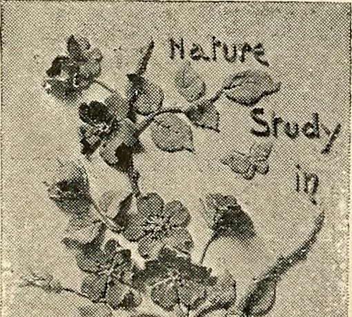 An illustration from The Kindergarten-primary magazine, 1907, leaf 83