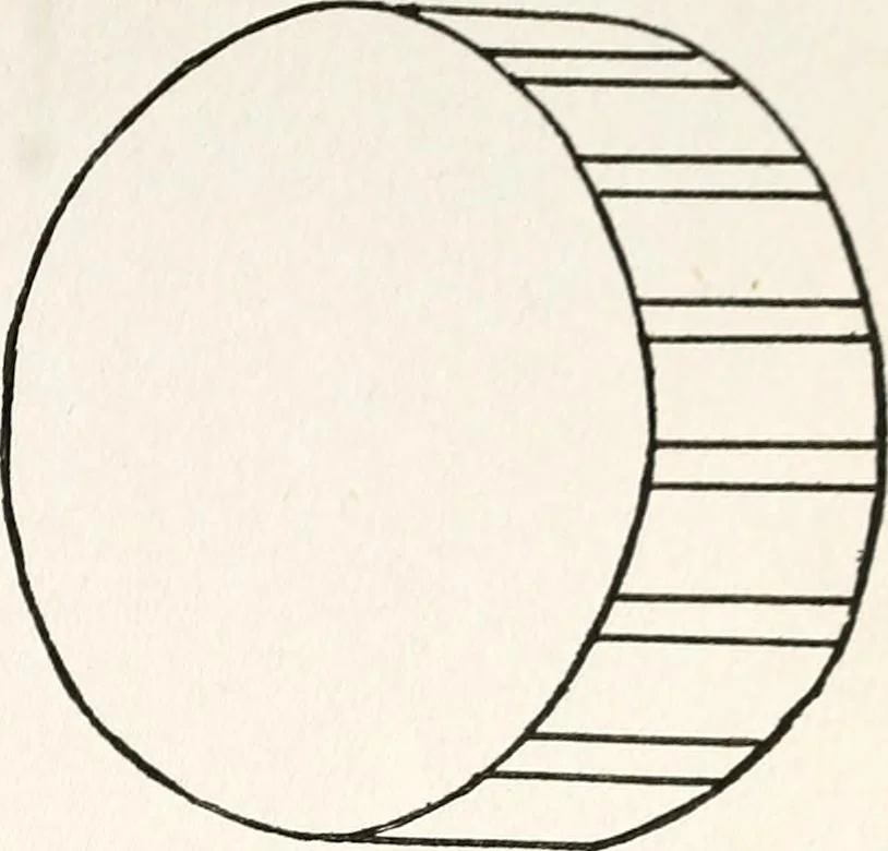 An illustration from The Kindergarten-primary magazine, 1907, leaf 110