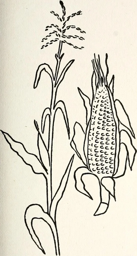 An illustration from The Kindergarten-primary magazine, 1907, leaf 112