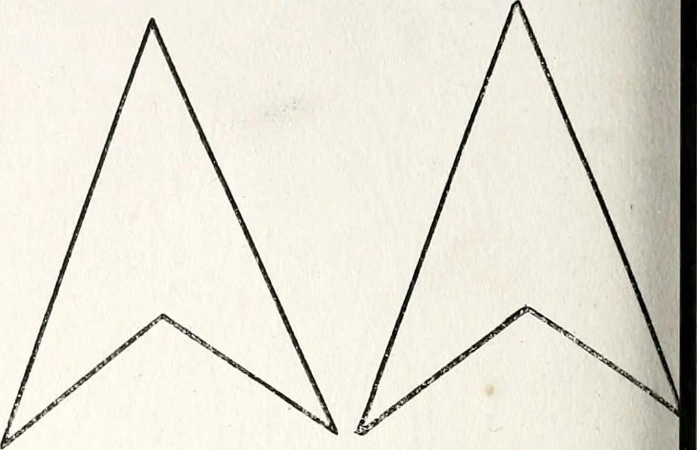 An illustration from The Kindergarten-primary magazine, 1907, leaf 113