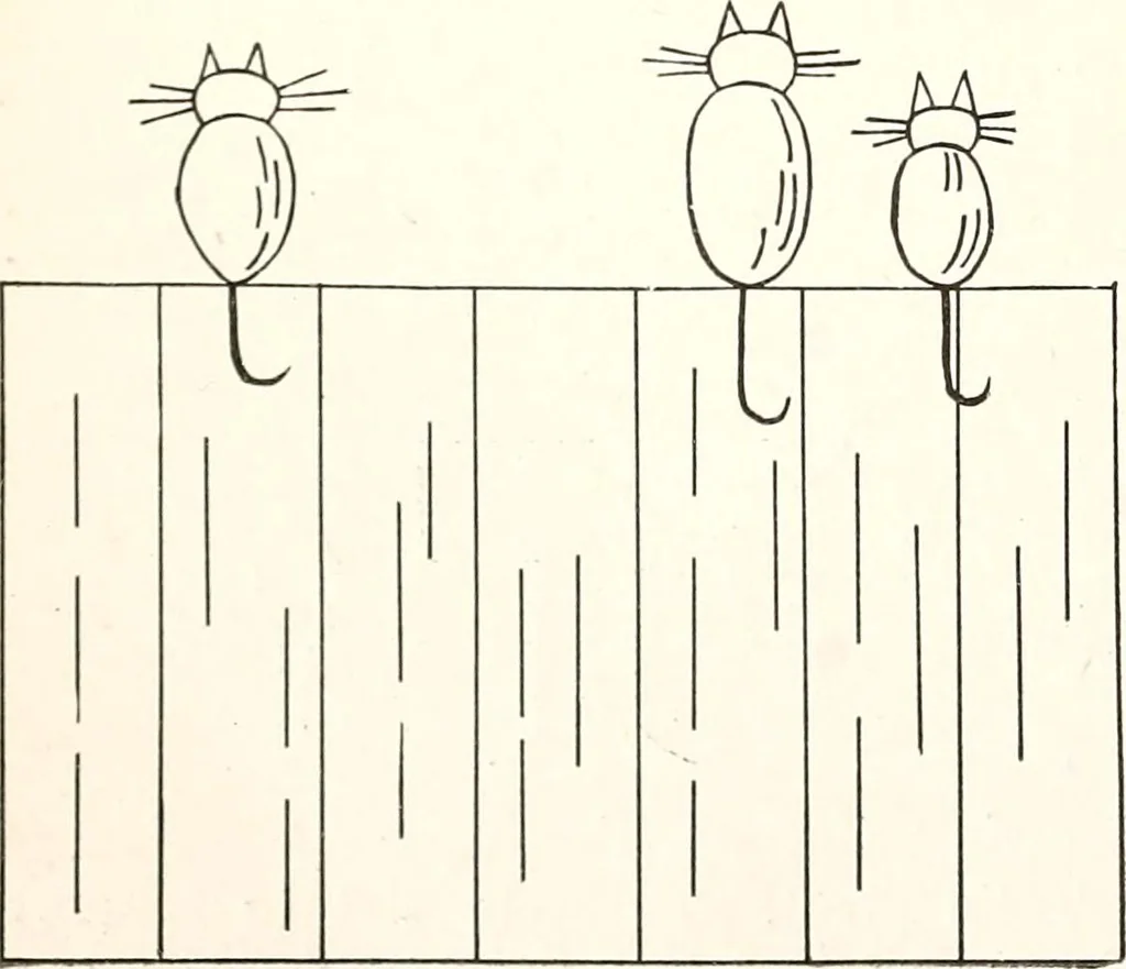 An illustration from The Kindergarten-primary magazine, 1907, leaf 255