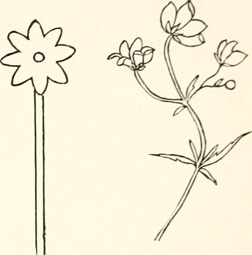 An illustration from The Kindergarten-primary magazine, 1907, leaf 318