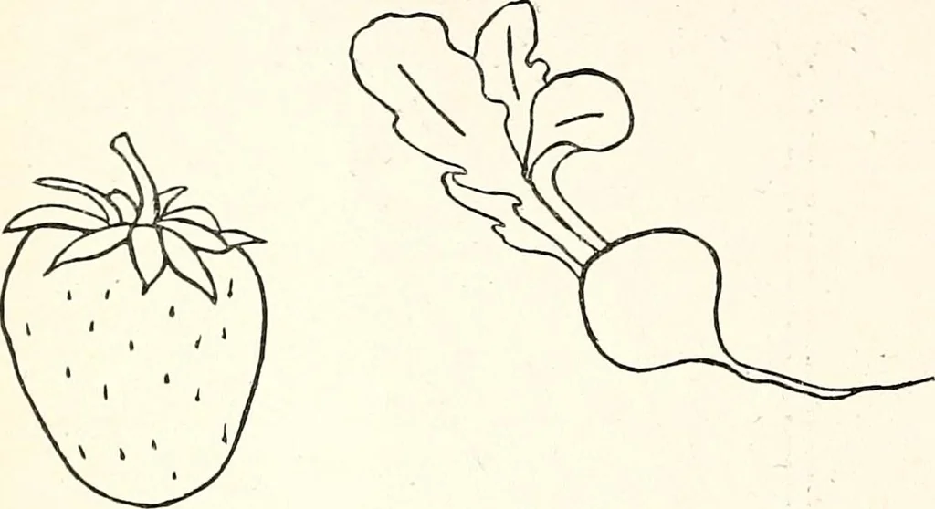 An illustration from The Kindergarten-primary magazine, 1907, leaf 319