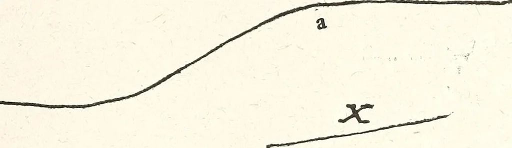 An illustration from The Kindergarten-Primary Magazine, 1901, leaf 228