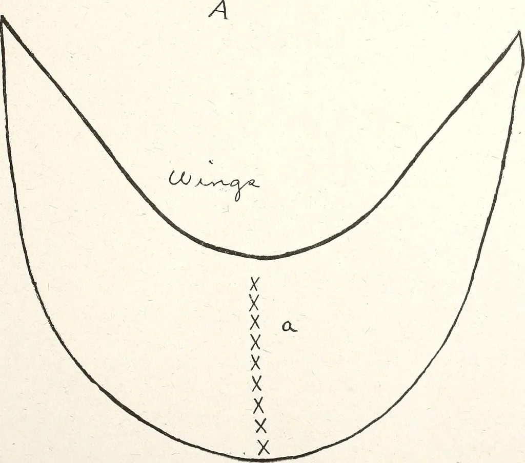 An illustration from The Kindergarten-Primary Magazine, 1901, leaf 228