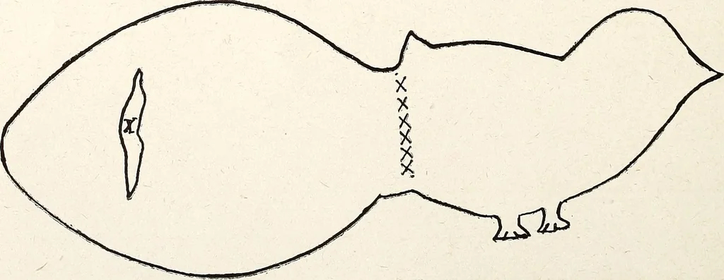 An illustration from The Kindergarten-Primary Magazine, 1901, leaf 229
