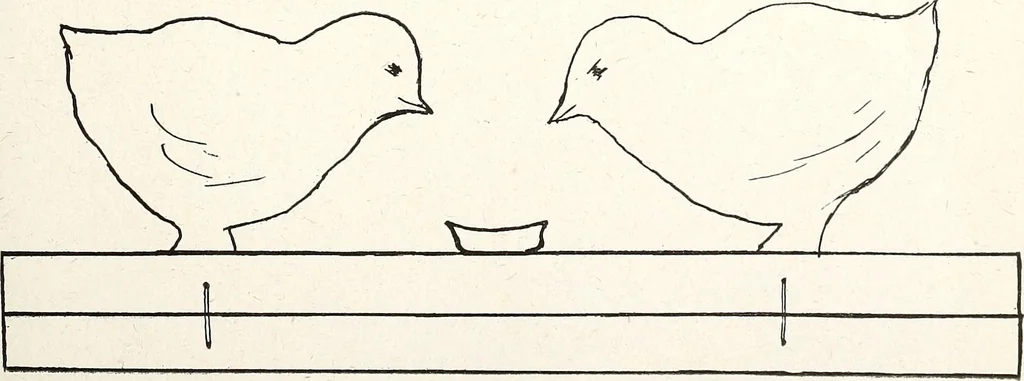 An illustration from The Kindergarten-Primary Magazine, 1901, leaf 230