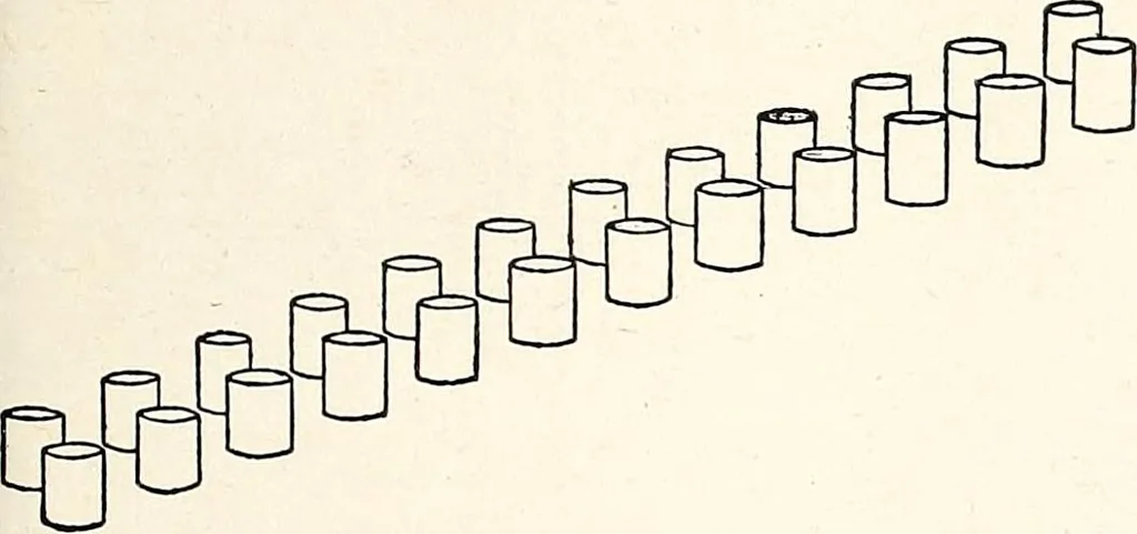 An illustration from The Kindergarten-Primary Magazine, 1901, leaf 238