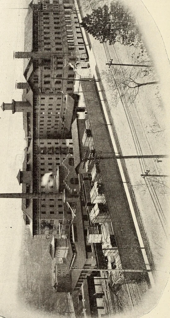 An illustration from The Kindergarten-Primary Magazine, 1901, leaf 243