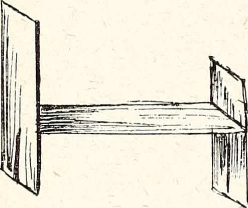 An illustration from The Kindergarten-Primary Magazine, 1901, leaf 267