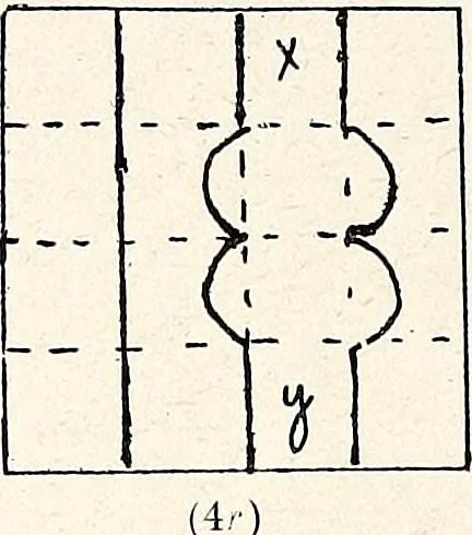An illustration from The Kindergarten-Primary Magazine, 1901, leaf 299