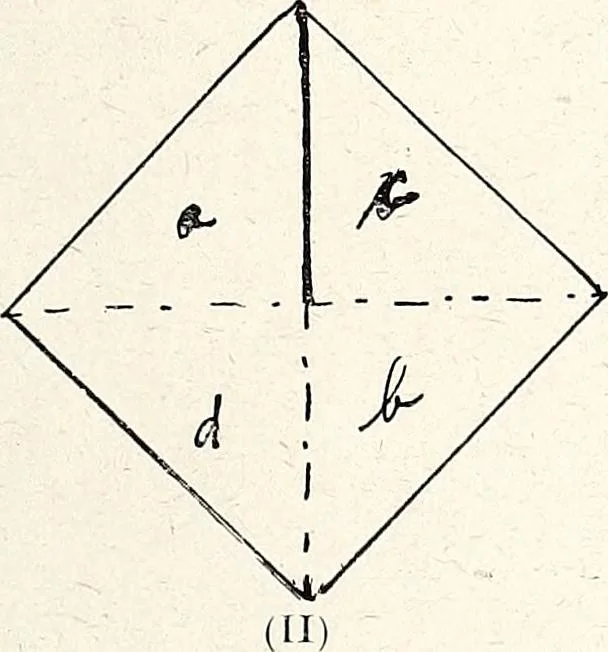 An illustration from The Kindergarten-Primary Magazine, 1901, leaf 300