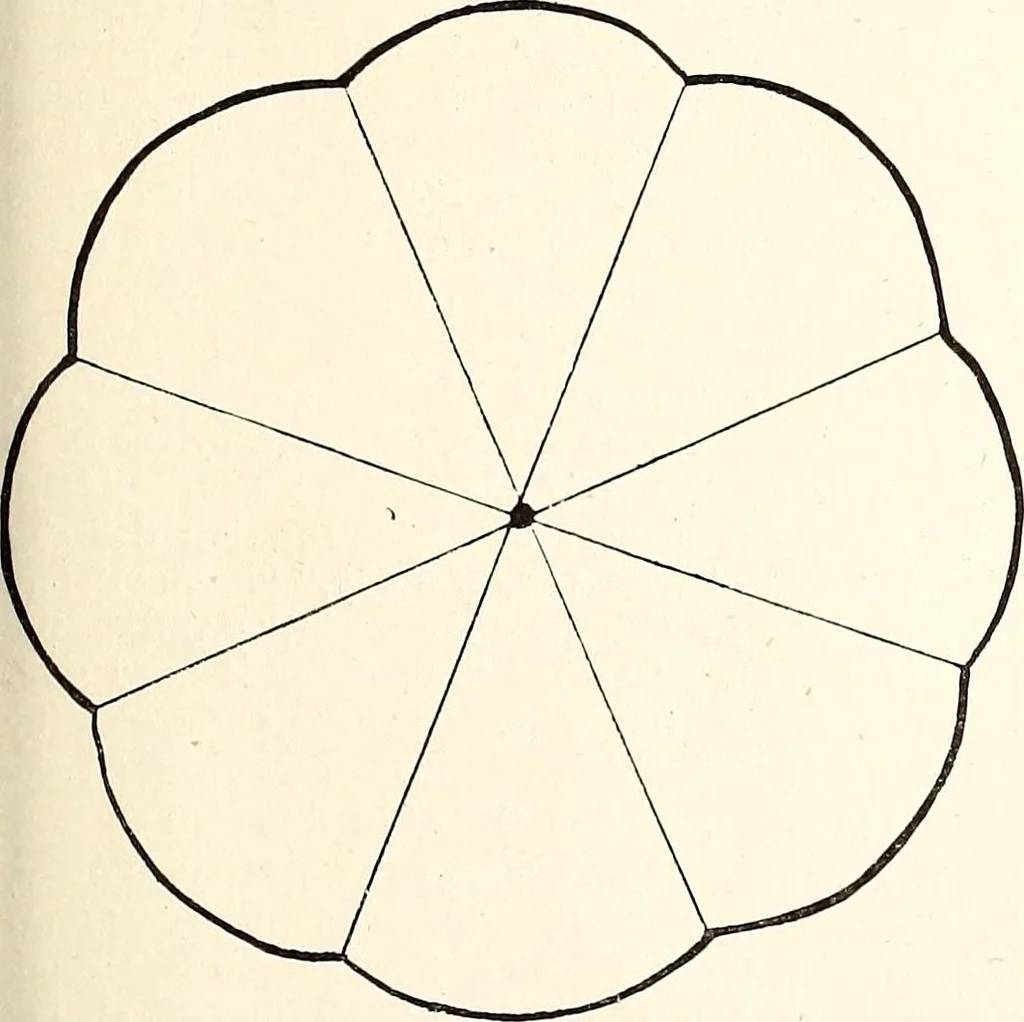 An illustration from The Kindergarten-Primary Magazine, 1901, leaf 62