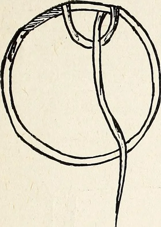 An illustration from The Kindergarten-Primary Magazine, 1911, leaf 174