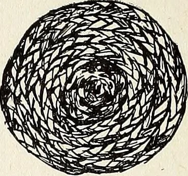 An illustration from The Kindergarten-Primary Magazine, 1911, leaf 211