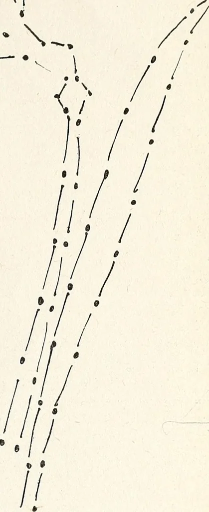 An illustration from The Kindergarten-Primary Magazine, 1911, leaf 260