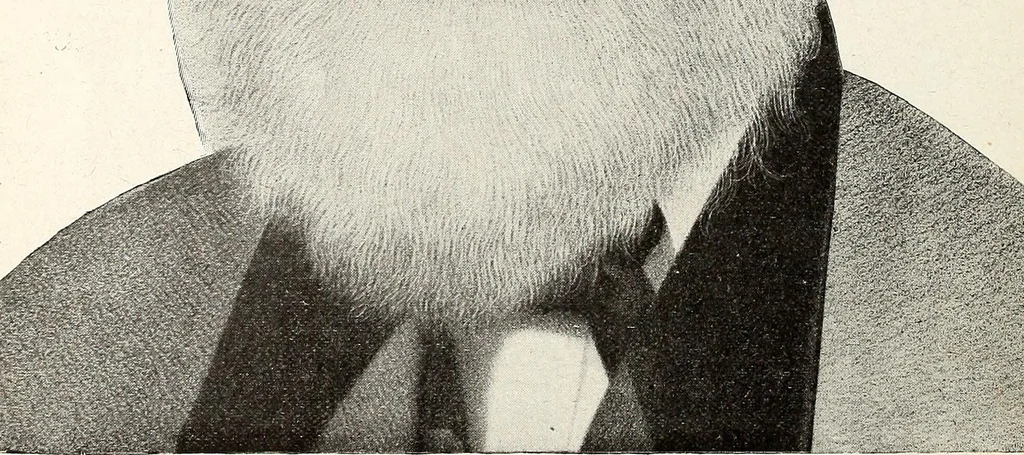 An illustration from The Kindergarten-Primary Magazine, 1911, leaf 77