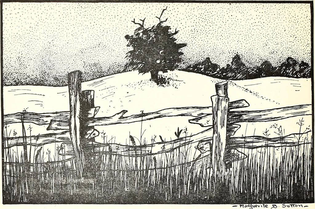 An illustration from The Kindergarten-Primary Magazine, 1912, leaf 131